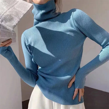 Turtleneck Slim Sweaters